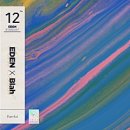 이든(EDEN)