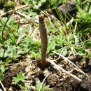 청해광택 이미지