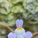 금창초등학교 이미지