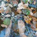 대동사 약수터 이미지