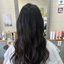 코메타헤어 네이버블로그