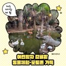 왕자농장 | 제주 어린왕자 감귤밭 솔직후기｜아이랑 갈만한 제주 실내·야외 체험지