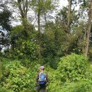 삼웅2리 이미지