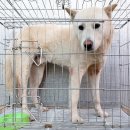 고방동물병원 이미지