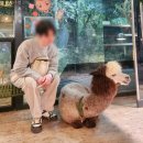 (주)트리플에이게임즈 | 송도 체험형 동물원 "테이블에이 &amp; 로우캣 " 방문 후기