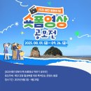 마이블미디어