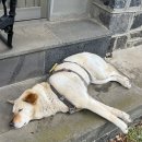 (주)신풍전자 | [제주도 숙소] 펜션 하이재 : 돌집 복층 / 서귀포 성산 가성비 독채 숙소, 가족 숙소 추천