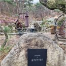 펜션 숲 | 경주 가성비 펜션 숲속이야기펜션 쟈스민 후기