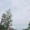 파타야프라탐낙 헬스장, 수영장, 더글래스하우스실버, 파타야워킹스트리트-캔디라이브펍, MUZZIK CAFE)