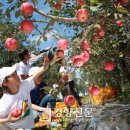 황금한우농장 이미지