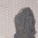 메리파인