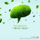 밤톨상회 이미지