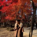 올리비아로렌