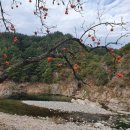 언덕펜션 이미지