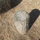 자인초등학교 이미지