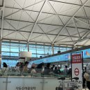 371 | ✈️인천(ICN)에서 중국 심천(선전/SZX) 직항 아시아나 항공 OZ371 이용 상세후기 + 기내식