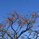 청도농협주유소 화장실 | 청도 원데이모어 아기랑 재방문 미스티룸 후기