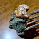 성내공원화장실 | 카페 오텀 크리스마스 분위기 좋은 올림픽공원 베이커리 맛집