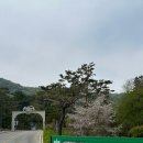 2026 그린캠프페스티벌