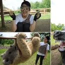 원삼두창분교 이미지