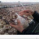 미루농장 이미지