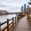 세종호수공원 야간 산책로 이미지