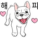 도촌닭한마리