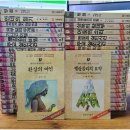 일신콜렉션