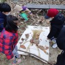 삼운사유치원 이미지