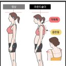 서건통상 | [합정PT 서교PT] 트레이너가 알려주는 PT를 한번쯤은 받아봐야하는 이유