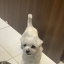 대구상동우체국 이미지