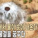 사막녹화 이미지