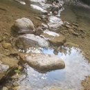 돌담집식당 이미지