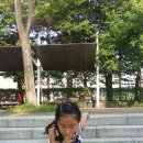 서울숲 어린이인라인스케이트강습 이미지