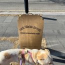 샌드위치&샐러드 이미지