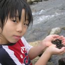 내고향다슬기 이미지