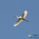 발포해수욕장 이미지