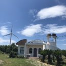 파람스테이 | 제주 애견동반카페 ) 카페 파람 / cafe3535.1 / 실내 가능