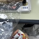 돼지사가소 | 유월 좋아