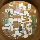 청춘하이볼 | 대구 동성로 술집 그게청춘이니까 칵테일 하이볼 안주 맛집