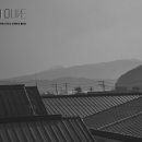 건축사사무소빈센트의올리브
