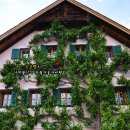 호반자동차마을 이미지