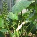 부평5동 주민센터 이미지