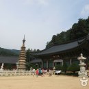 용다사 동종 이미지