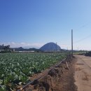 상모리-27 이미지