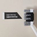메디팜백화점약국 | 칫솔유목민 정착템 덴클 후기 《5》