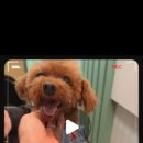 놀러왕왕왕 네이버블로그