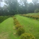 양수목장 이미지