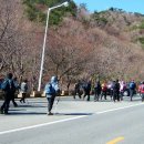 팔공산 조망 이미지