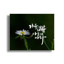 캘리